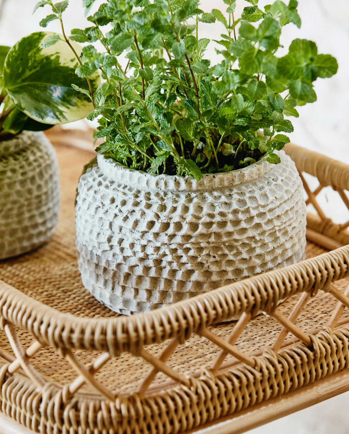 Serviertisch LIRI 62cm aus Rattan-Serviertische-Nordal A/S-le canapé
