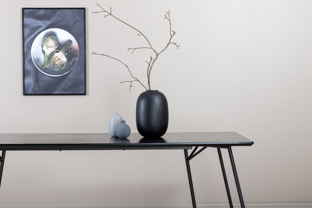 Esstisch Petra 190cm - Schwarz - Venture Home - le canapé