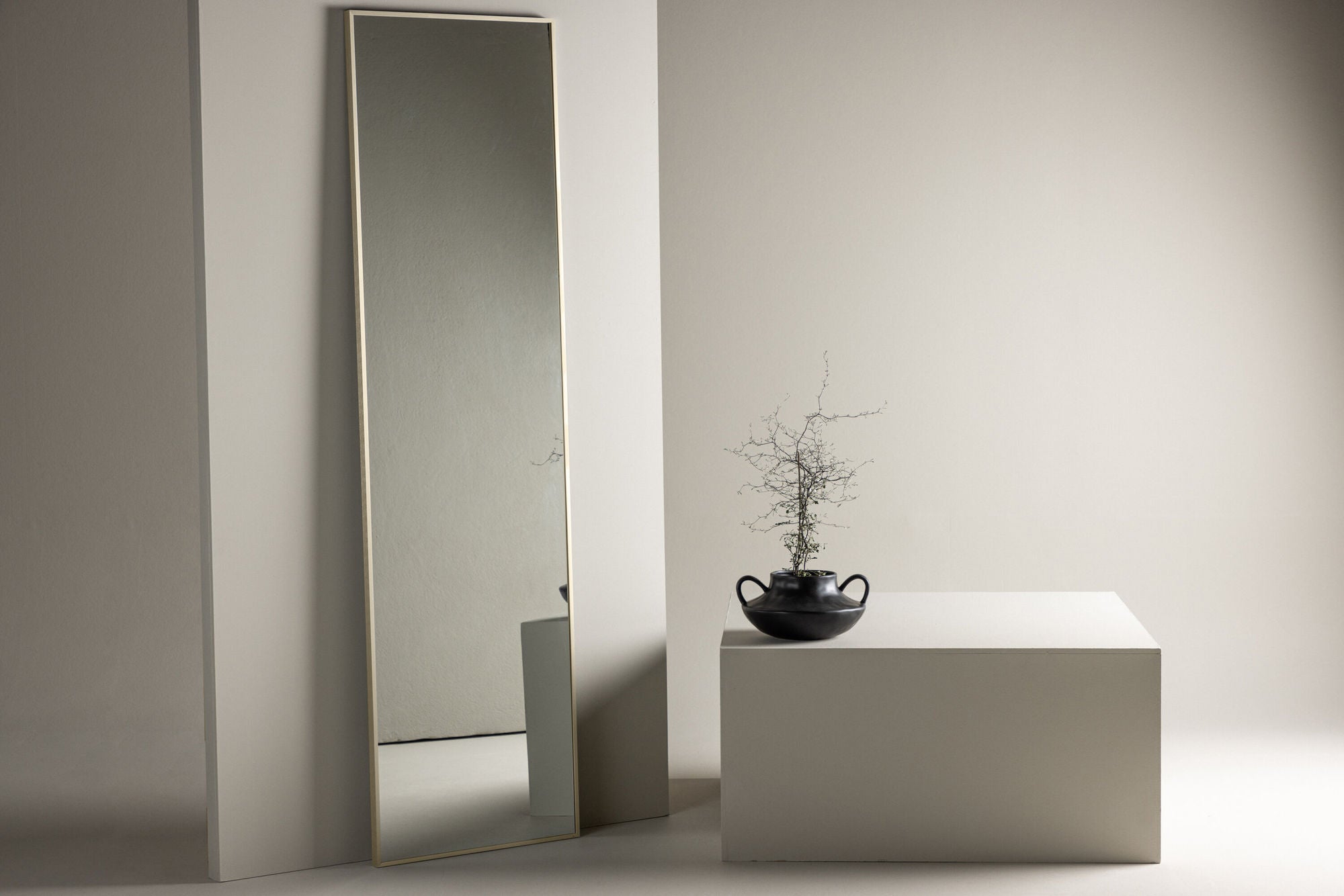 Ganzkörperspiegel Orlando 55*195 cm - Beige-Ganzkörperspiegel-le canapé