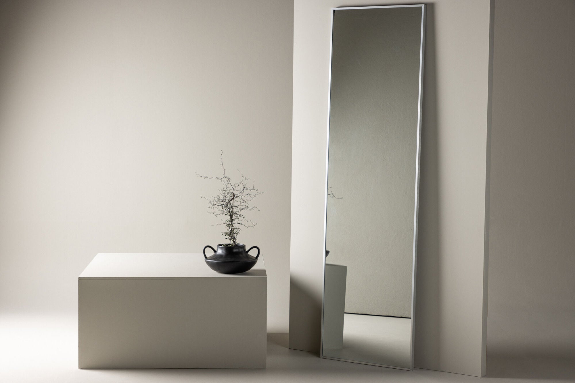 Ganzkörperspiegel Dalton 220cm - Silber-Ganzkörperspiegel-Venture Home-le canapé