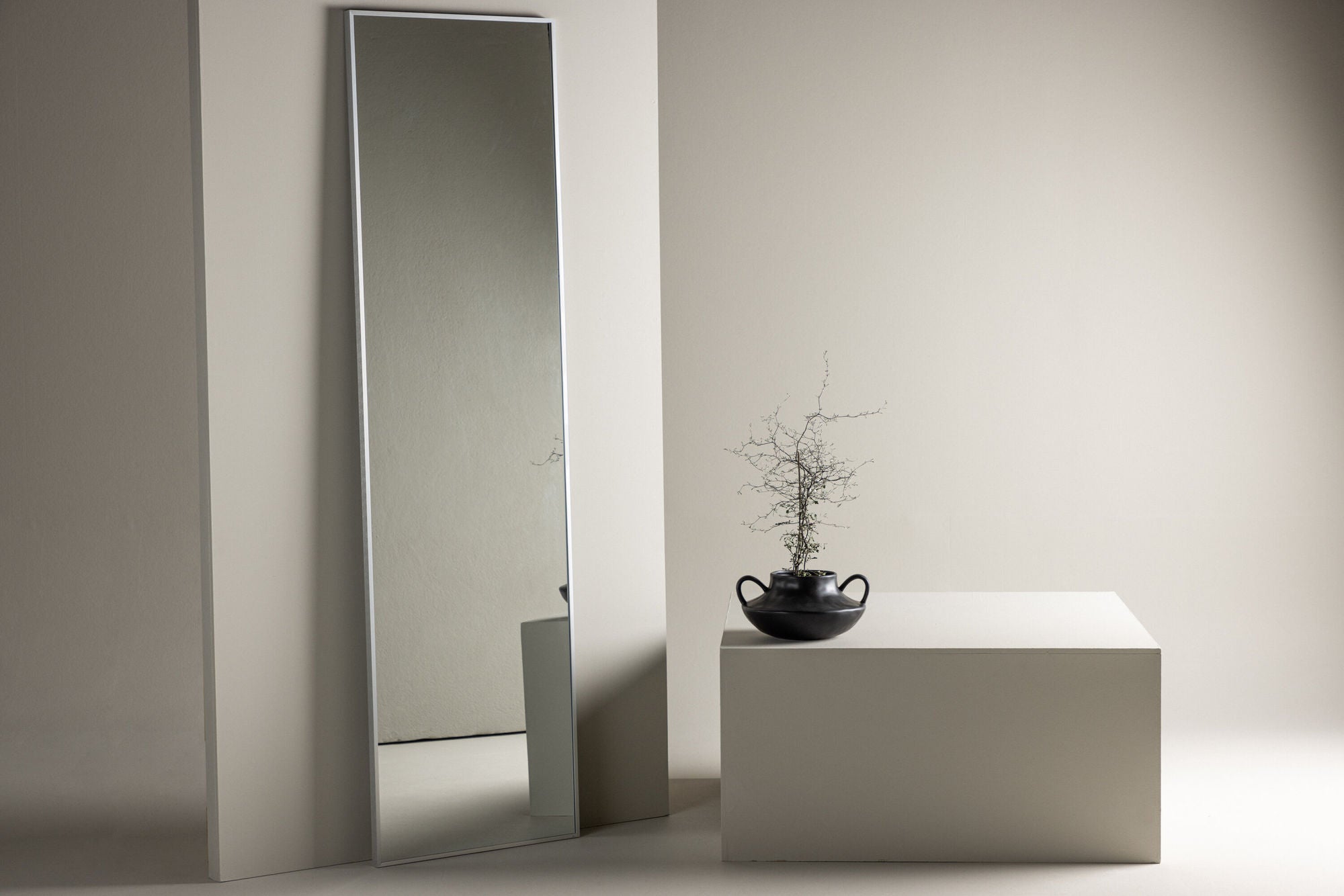 Ganzkörperspiegel Orlando 195*55cm - Silber-Ganzkörperspiegel-Venture Home-le canapé