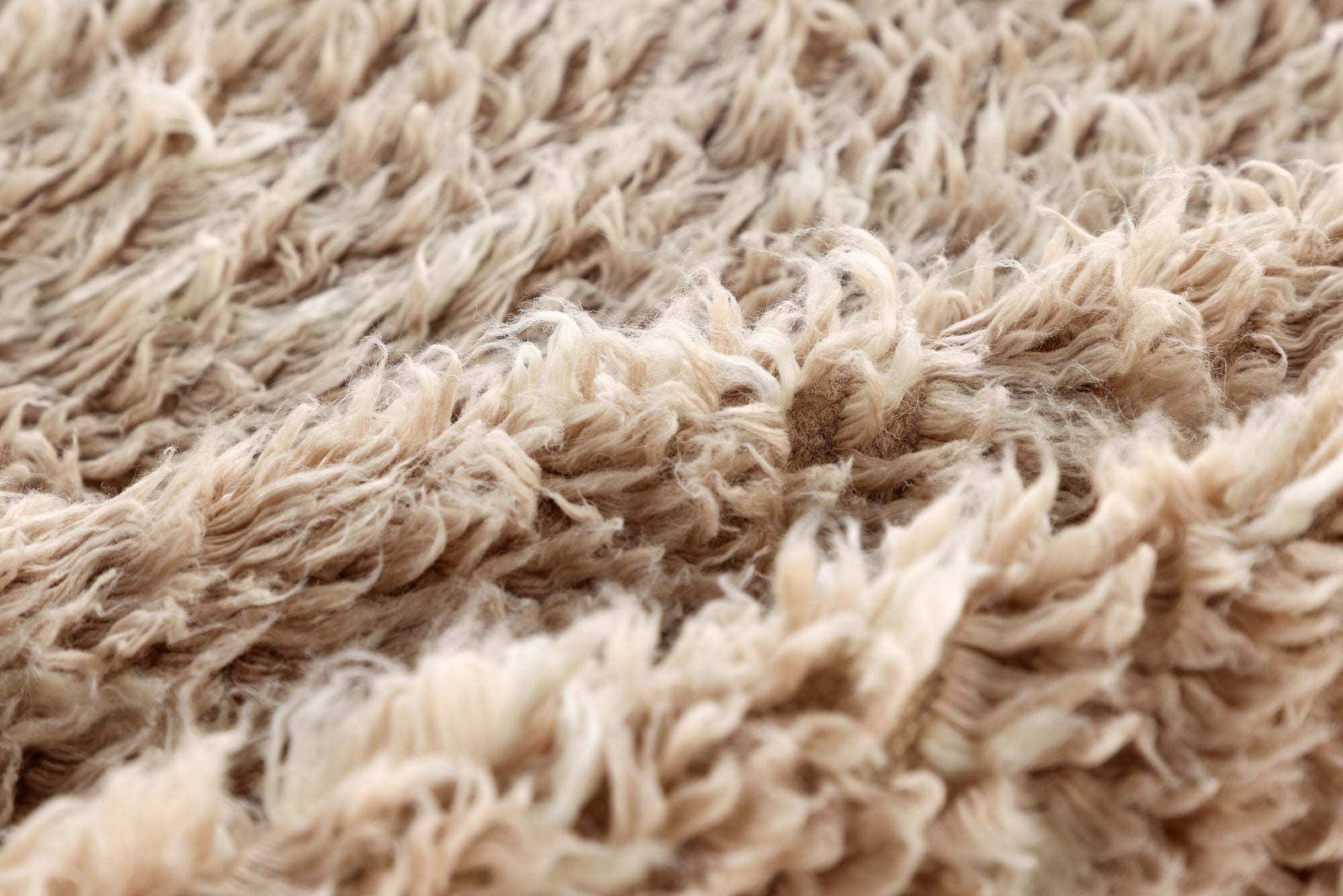 Teppich Leiko 230*160cm aus Wolle - Beige-Teppiche-Venture Home-le canapé