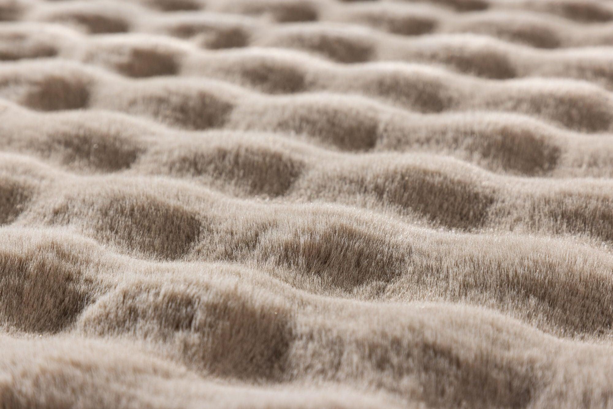 Teppich Novis 290*200cm - Beige-Teppich-Venture Home-le canapé